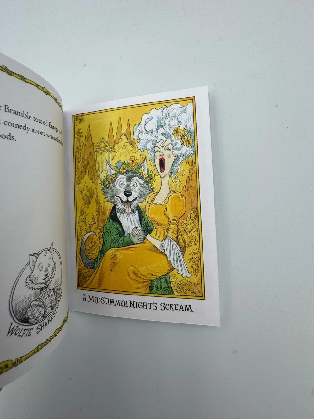 Goth Girl and‎ the Wuthering Fright Chris Riddell HC 2015 Mini Book Complete